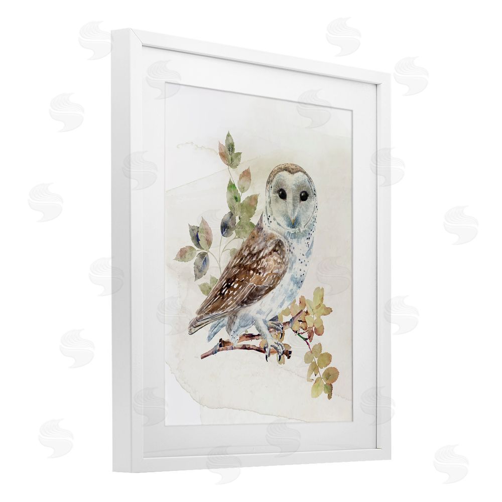 CAD Designs Owl Among Autumn Leaves White Framed Print Under Glass Wall Art