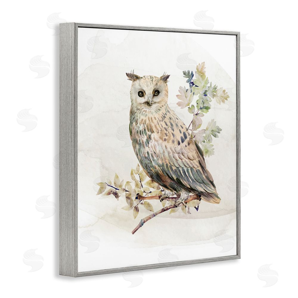 CAD Designs Forest Owl with Foliage Gray Framed Giclee Wall Art Print