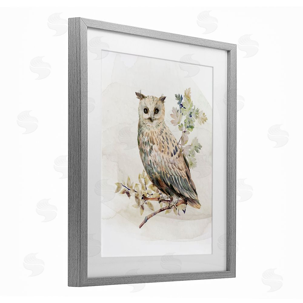 CAD Designs Forest Owl with Foliage Gray Framed Print Under Glass Wall Art