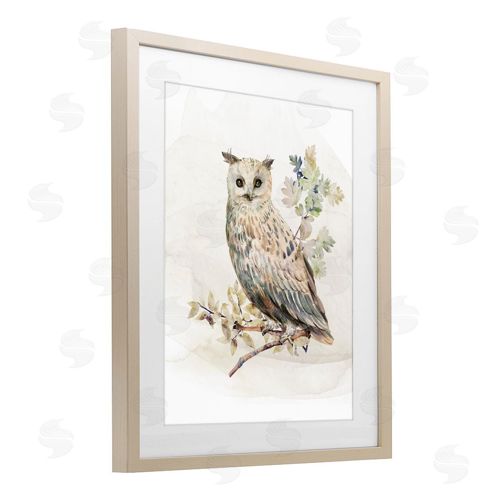 CAD Designs Forest Owl with Foliage Brown Framed Print Under Glass Wall Art