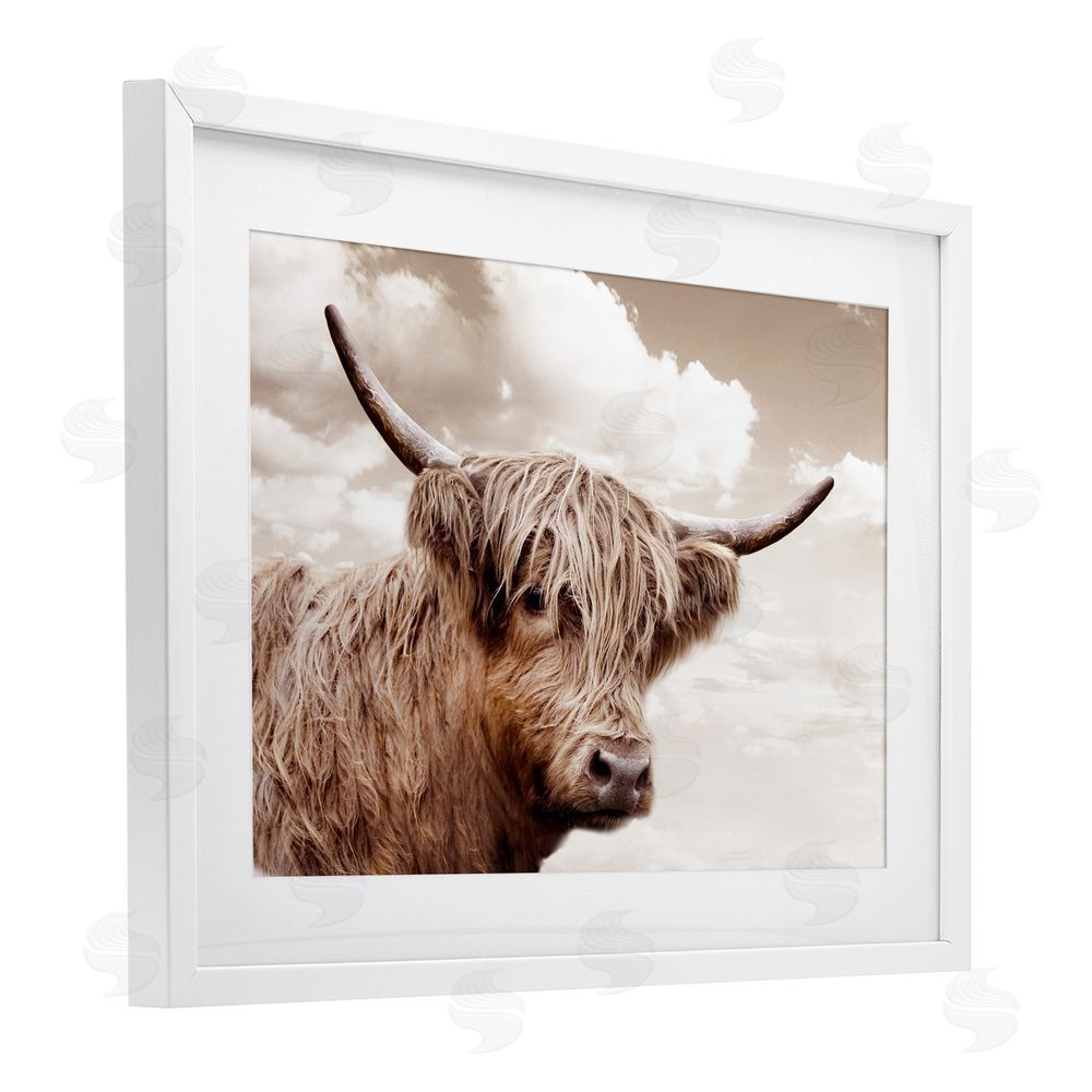 CAD Designs Shaggy Highland Cow & Clouds White Framed Print Under Glass Wall Art