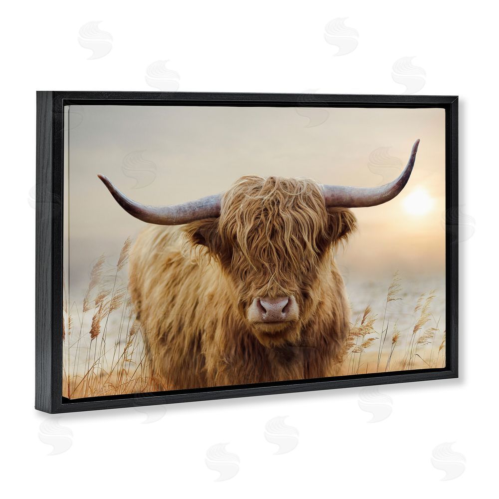 CAD Designs Highland Cow & Warm Sunset Black Floating Frame Canvas Wall Art Print