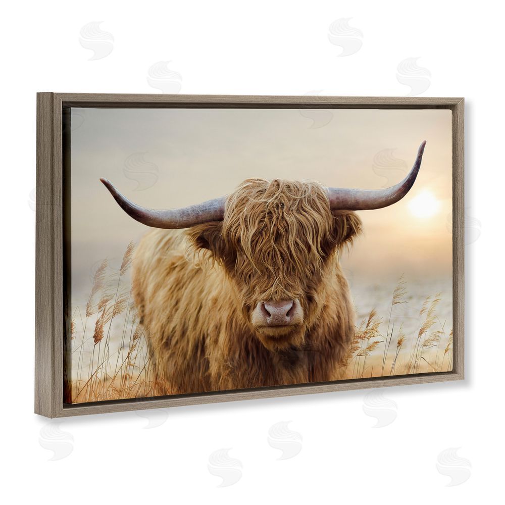 CAD Designs Highland Cow & Warm Sunset Brown Floating Frame Canvas Wall Art Print