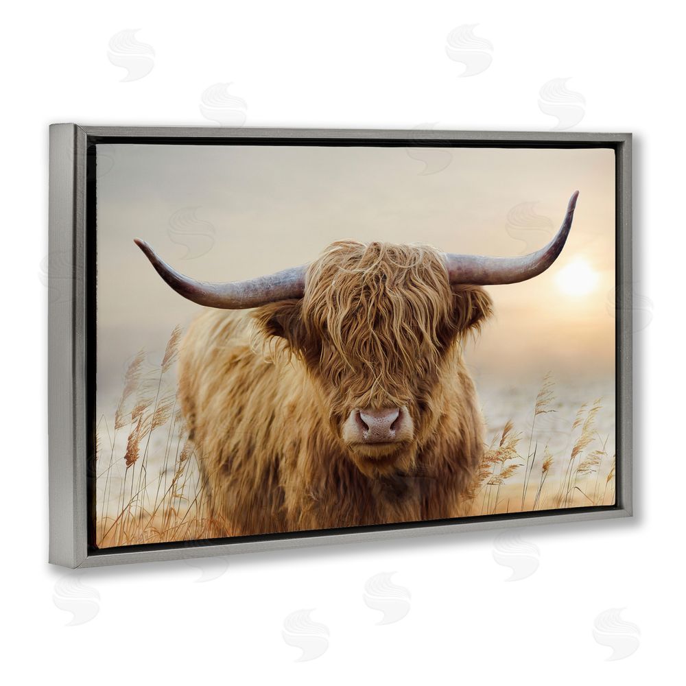 CAD Designs Highland Cow & Warm Sunset Gray Floating Frame Canvas Wall Art Print