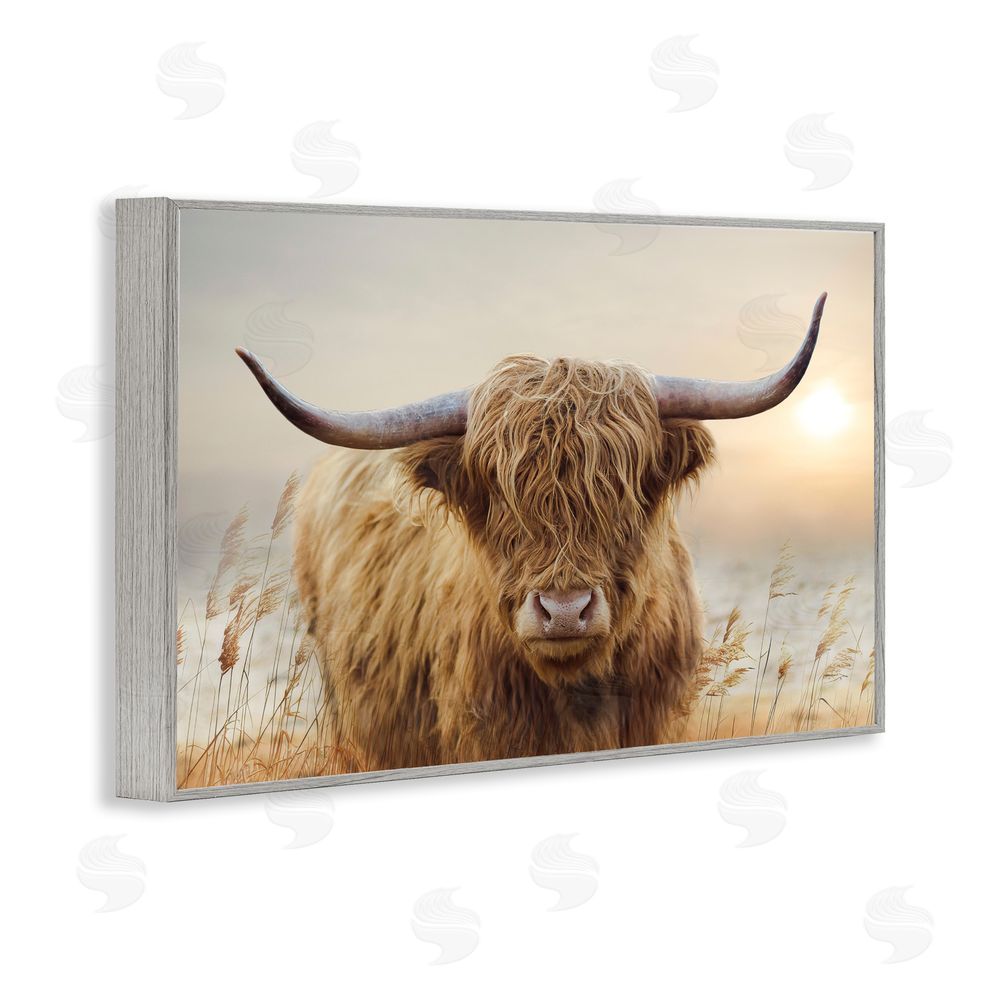 CAD Designs Highland Cow & Warm Sunset Gray Framed Giclee Wall Art Print