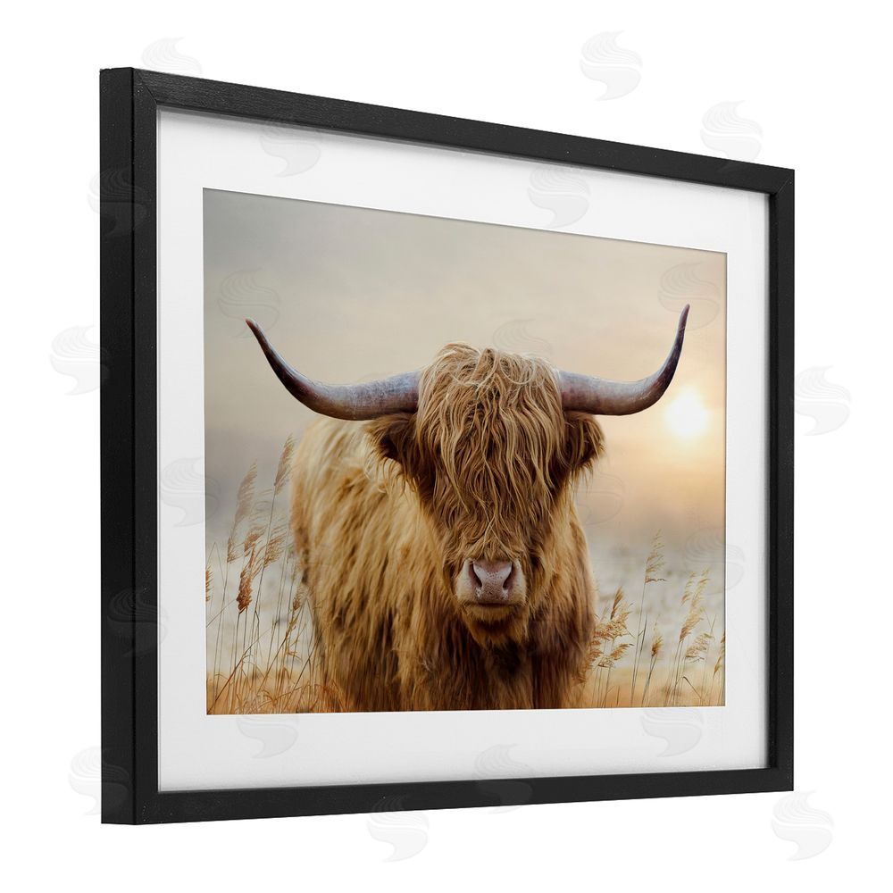 CAD Designs Highland Cow & Warm Sunset Black Framed Print Under Glass Wall Art