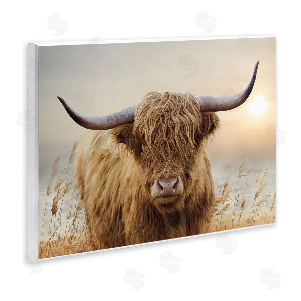 CAD Designs Highland Cow & Warm Sunset Wooden Wall Plaque Art Print