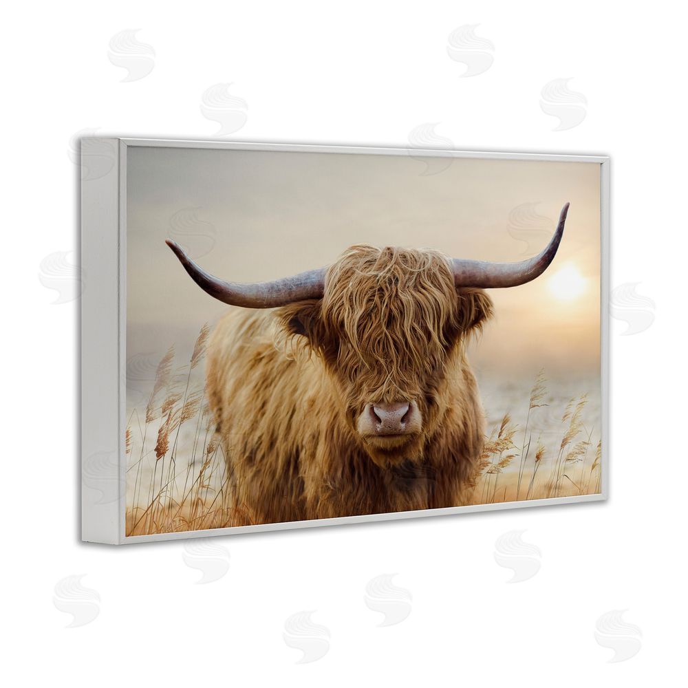 CAD Designs Highland Cow & Warm Sunset White Framed Giclee Wall Art Print
