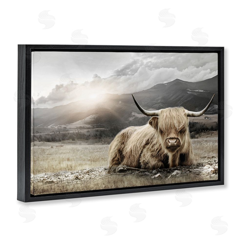 CAD Designs Cattle Resting in Morning Sun Black Floating Frame Canvas Wall Art Print