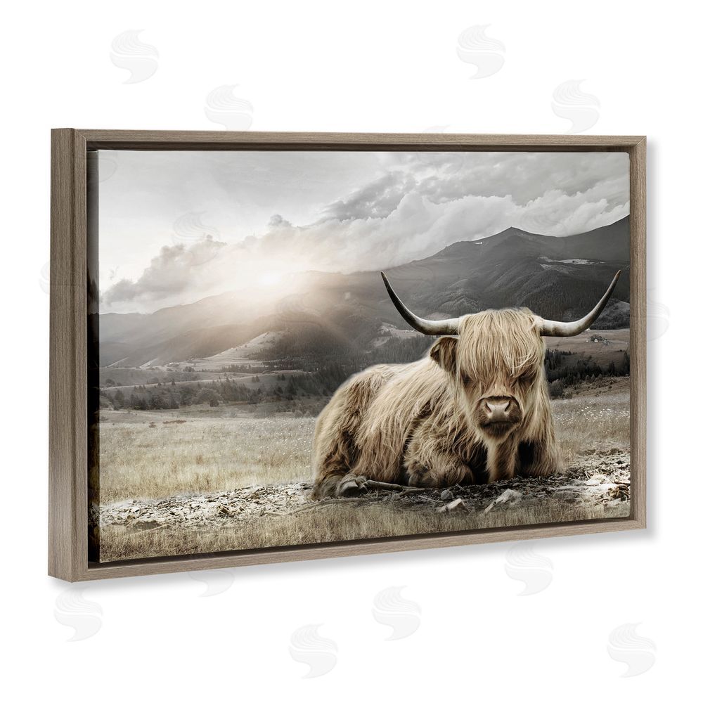 CAD Designs Cattle Resting in Morning Sun Brown Floating Frame Canvas Wall Art Print
