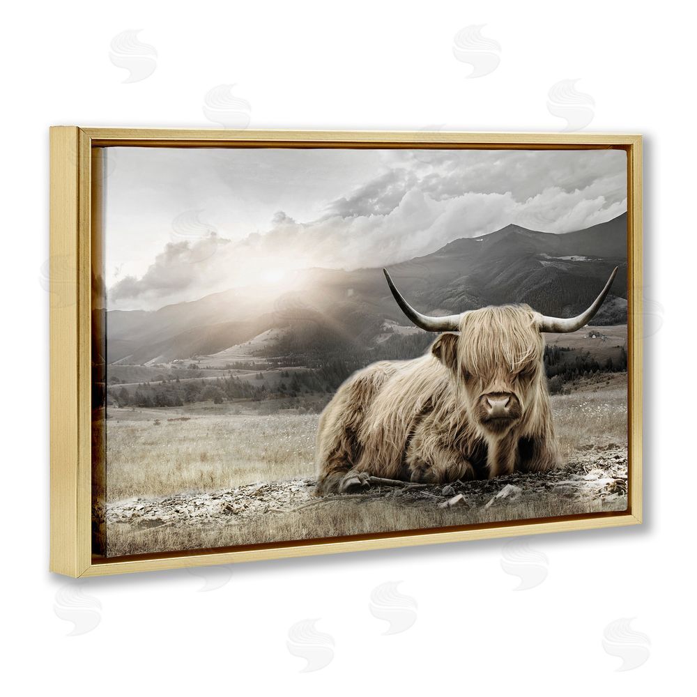 CAD Designs Cattle Resting in Morning Sun Gold Floating Frame Canvas Wall Art Print