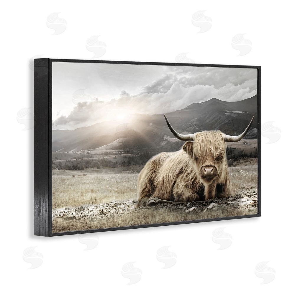 CAD Designs Cattle Resting in Morning Sun Black Framed Giclee Wall Art Print