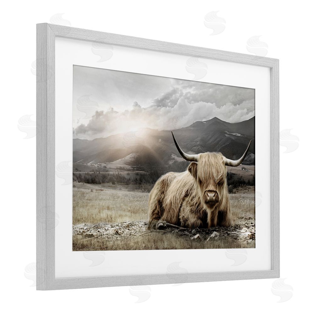 CAD Designs Cattle Resting in Morning Sun Gray Framed Print Under Glass Wall Art
