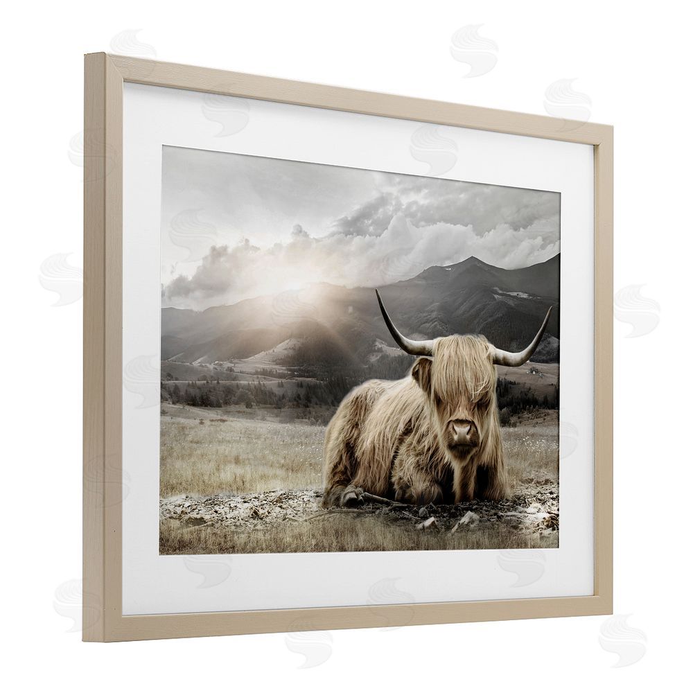 CAD Designs Cattle Resting in Morning Sun Brown Framed Print Under Glass Wall Art
