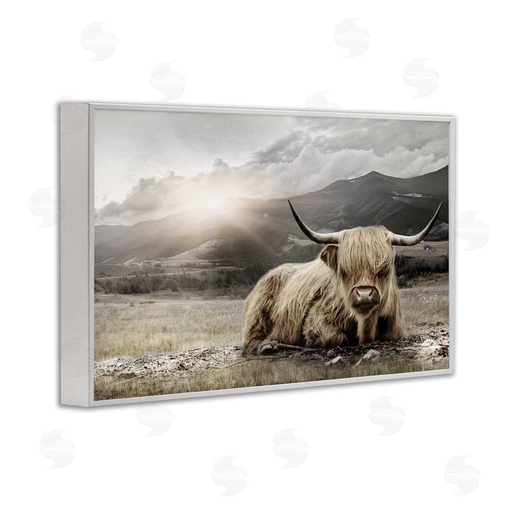 CAD Designs Cattle Resting in Morning Sun White Framed Giclee Wall Art Print