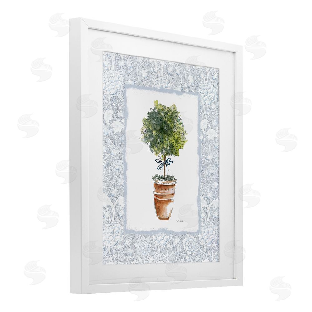 Carol Robinson Potted Topiary in Terracotta White Framed Print Under Glass Wall Art