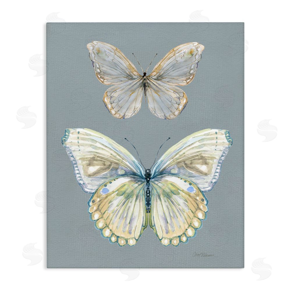 Carol Robinson Butterfly Pair Study Stretched Canvas Wall Art Print