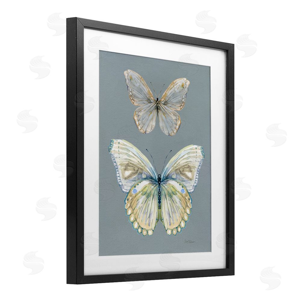 Carol Robinson Butterfly Pair Study Black Framed Print Under Glass Wall Art