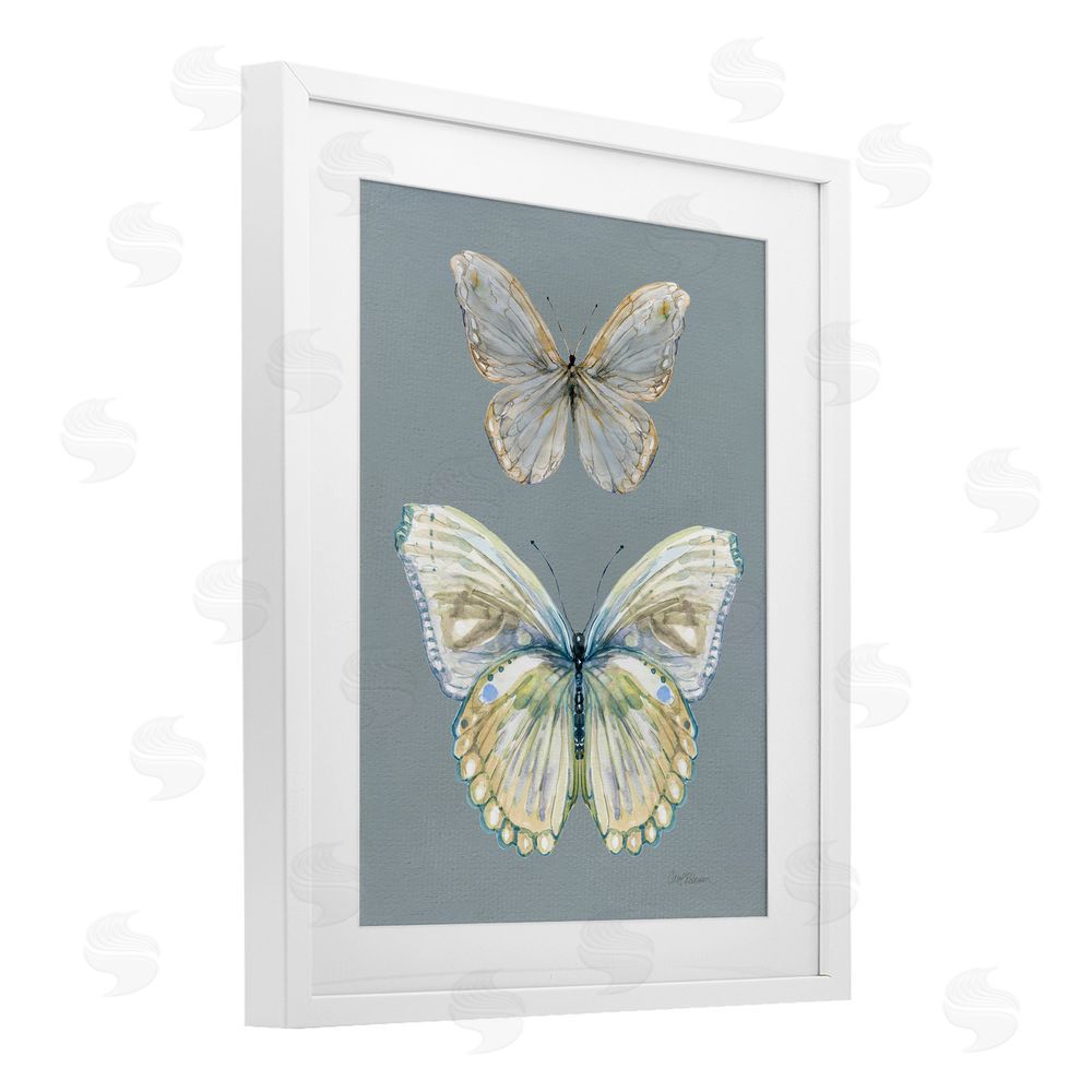 Carol Robinson Butterfly Pair Study White Framed Print Under Glass Wall Art