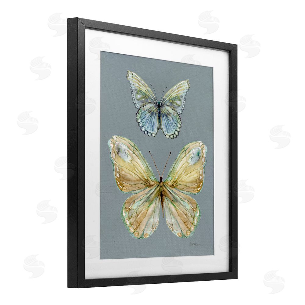 Carol Robinson Delicate Butterflies on Slate Black Framed Print Under Glass Wall Art