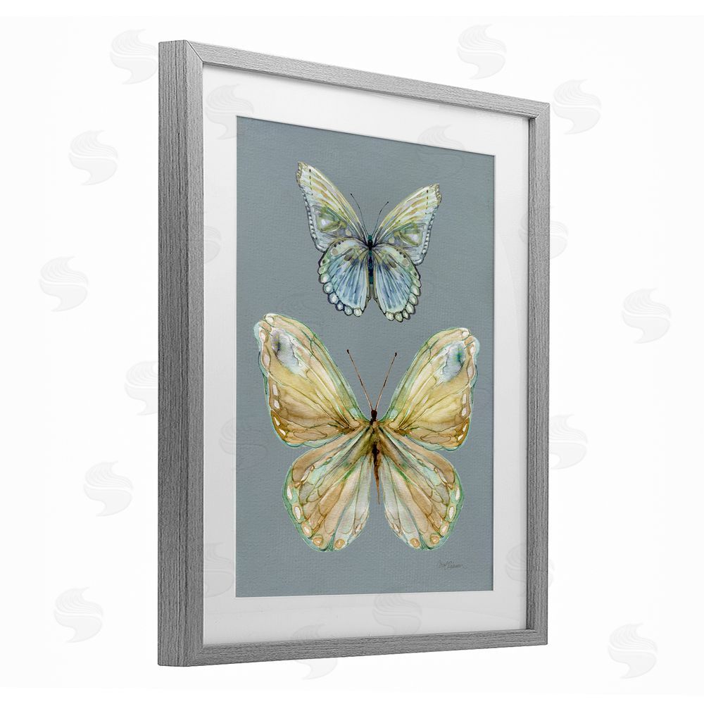 Carol Robinson Delicate Butterflies on Slate Gray Framed Print Under Glass Wall Art