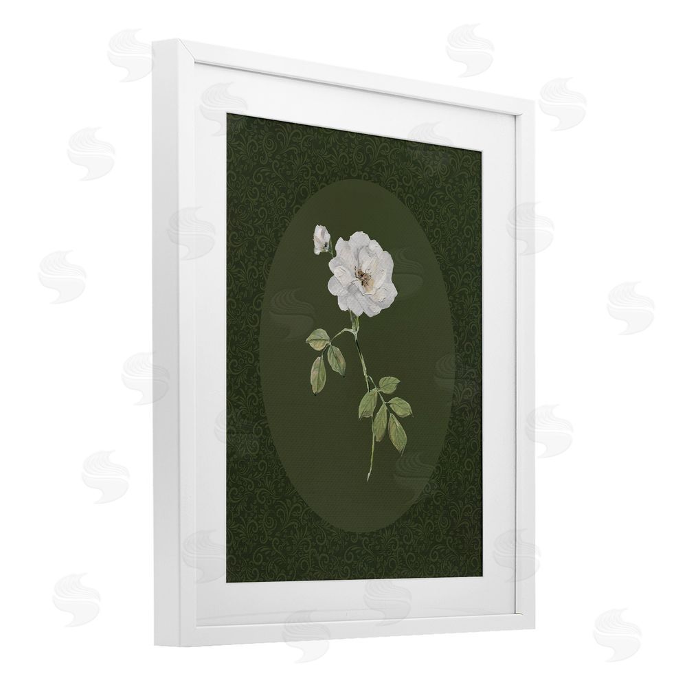 Sally Swatland White Rose on Emerald White Framed Print Under Glass Wall Art