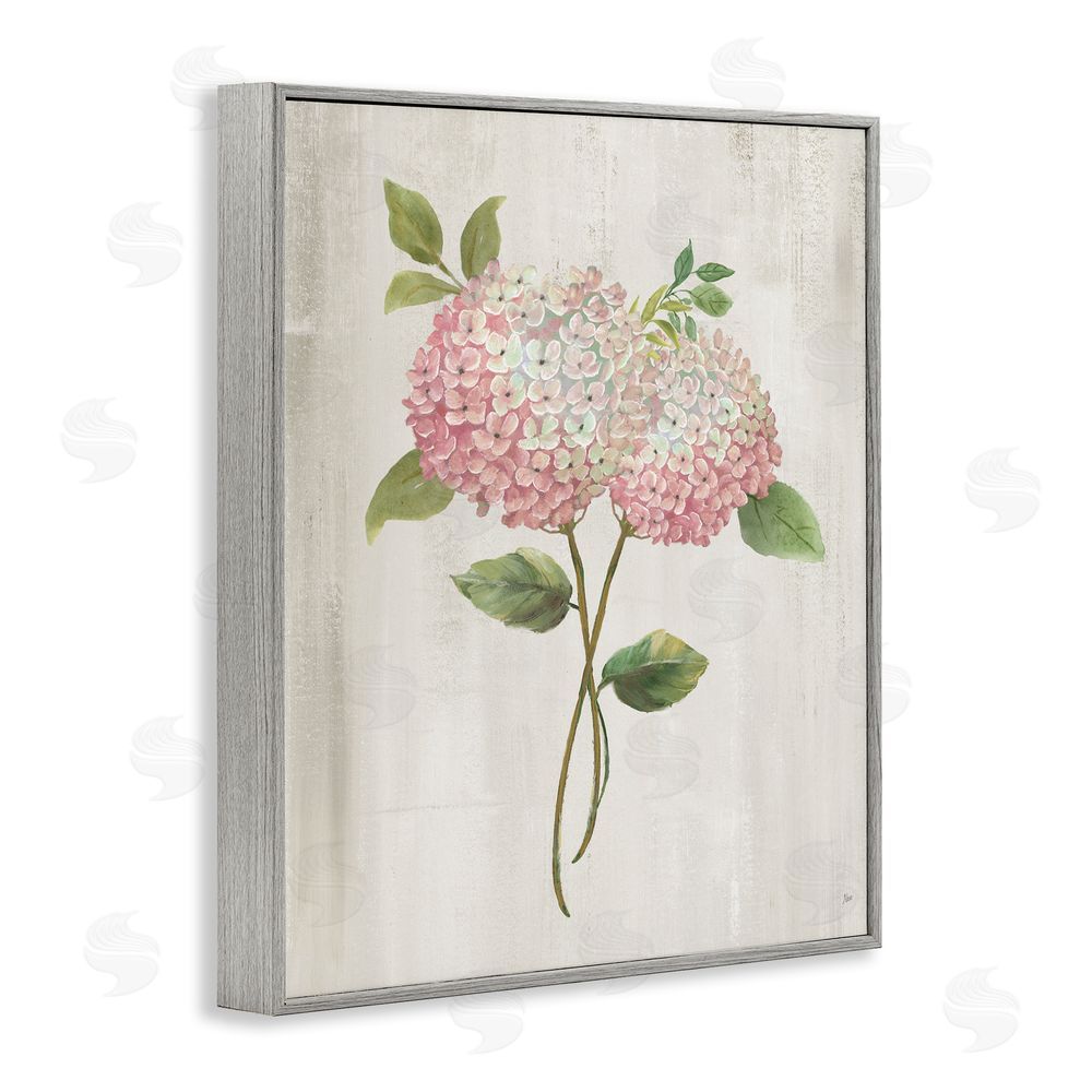 Nan Vintage Pink Hydrangea Gray Framed Giclee Wall Art Print