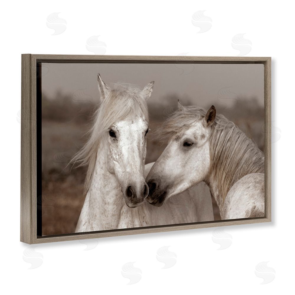 Danita Delimont Gentle Companionship Horses Brown Floating Frame Canvas Wall Art Print