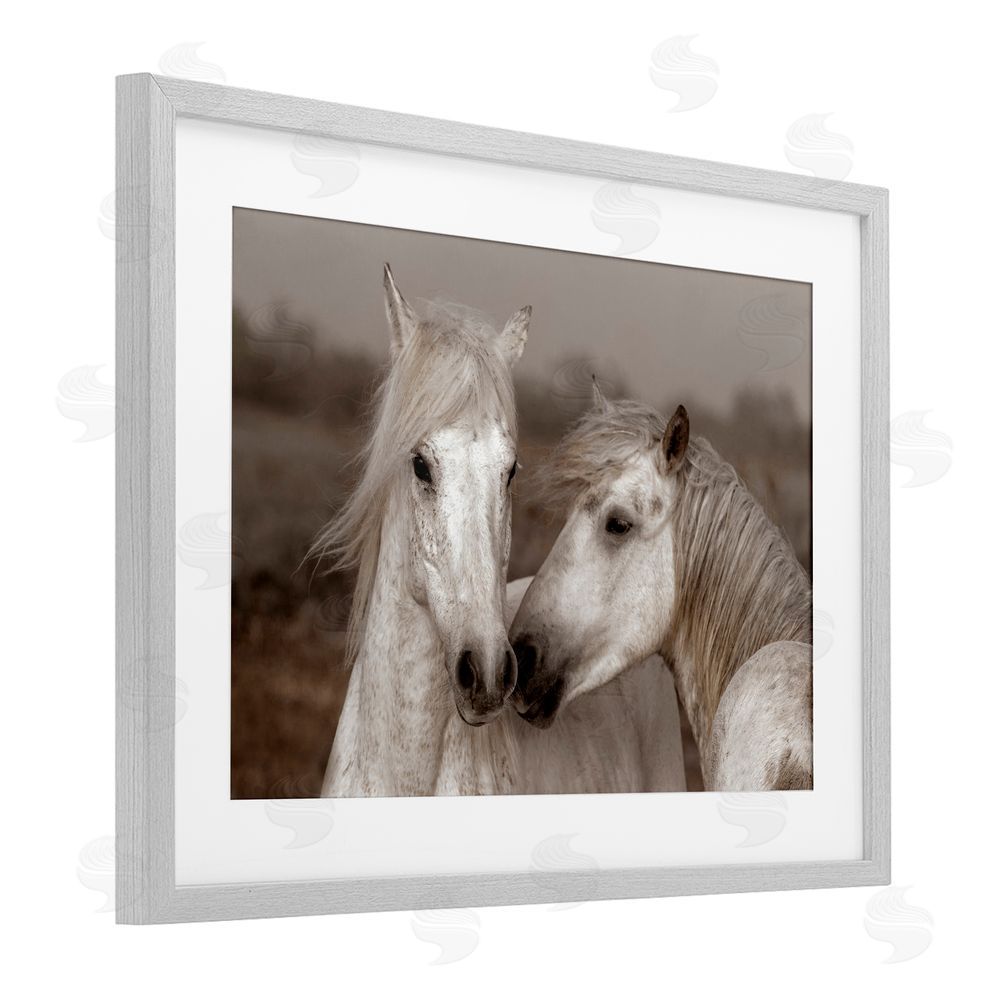 Danita Delimont Gentle Companionship Horses Gray Framed Print Under Glass Wall Art