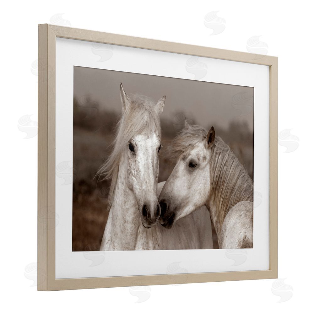 Danita Delimont Gentle Companionship Horses Brown Framed Print Under Glass Wall Art