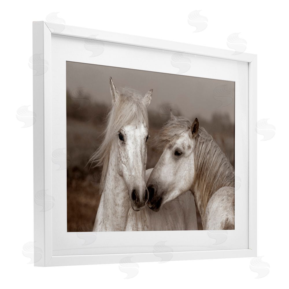 Danita Delimont Gentle Companionship Horses White Framed Print Under Glass Wall Art