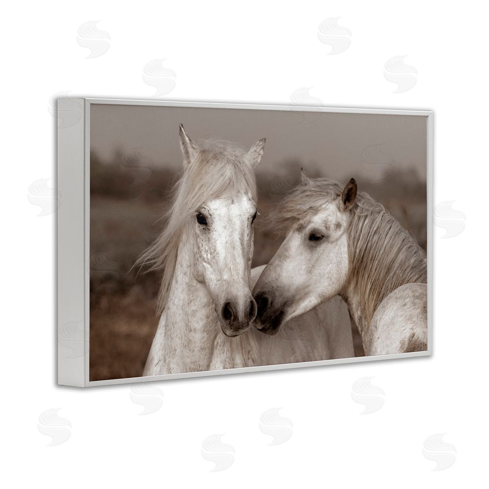Danita Delimont Gentle Companionship Horses White Framed Giclee Wall Art Print