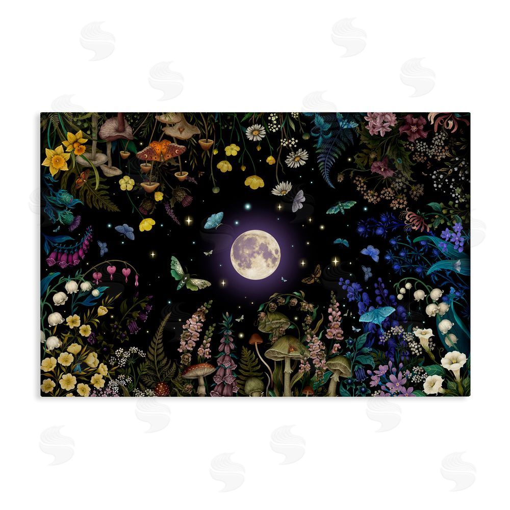 Episodic Drawings Night Garden with Moth Stretched Canvas Wall Art Print