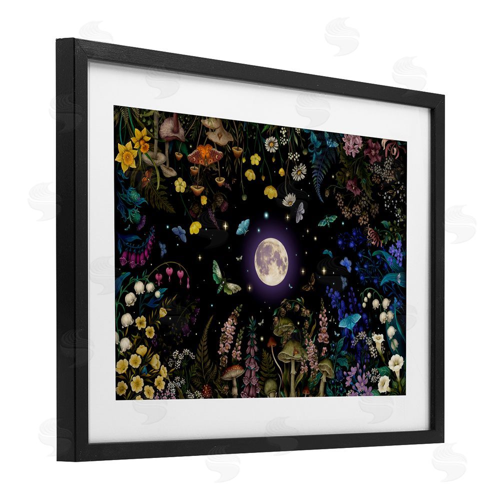 Episodic Drawings Night Garden with Moth Black Framed Print Under Glass Wall Art