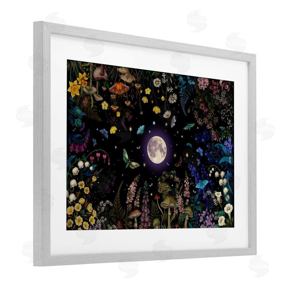 Episodic Drawings Night Garden with Moth Gray Framed Print Under Glass Wall Art
