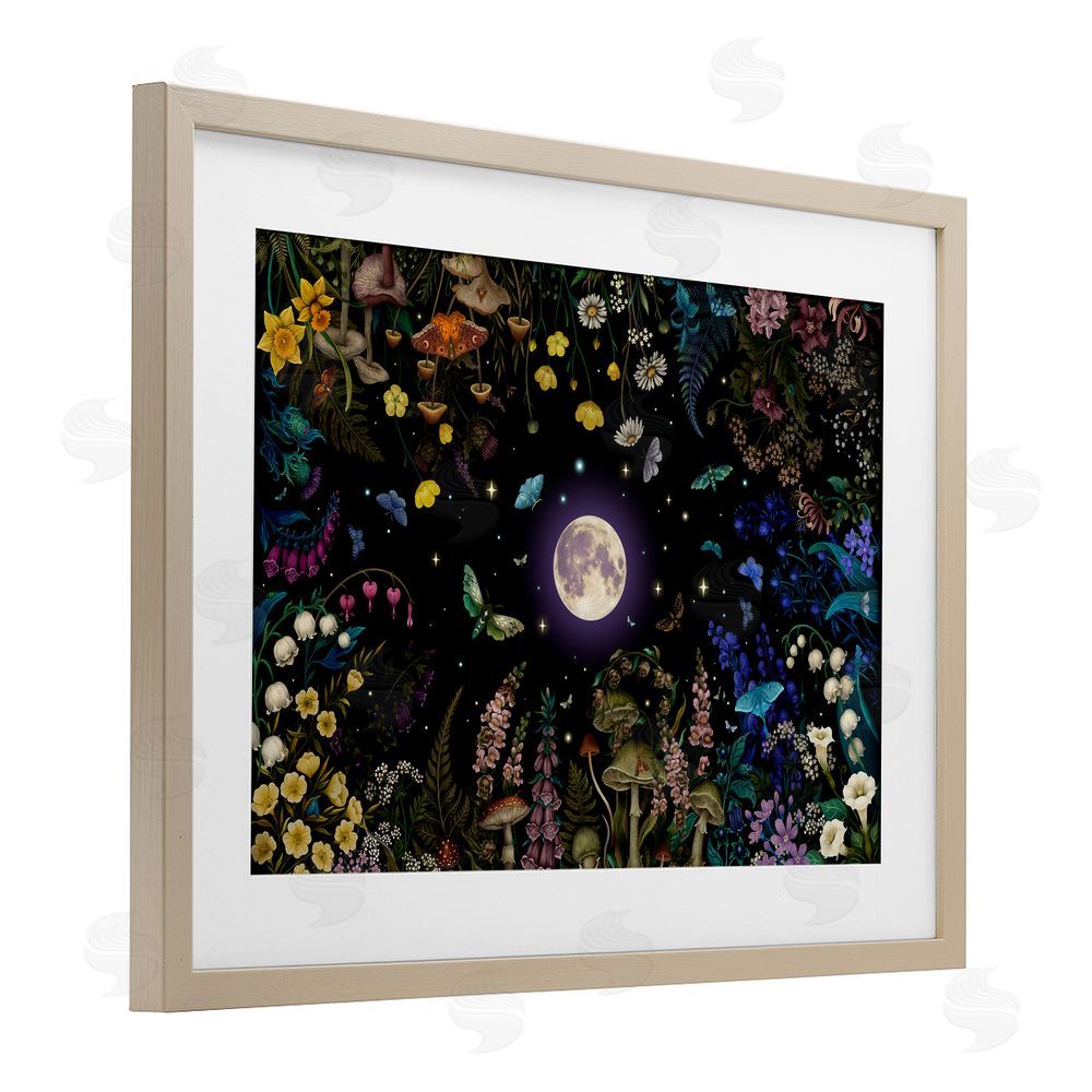 Episodic Drawings Night Garden with Moth Brown Framed Print Under Glass Wall Art