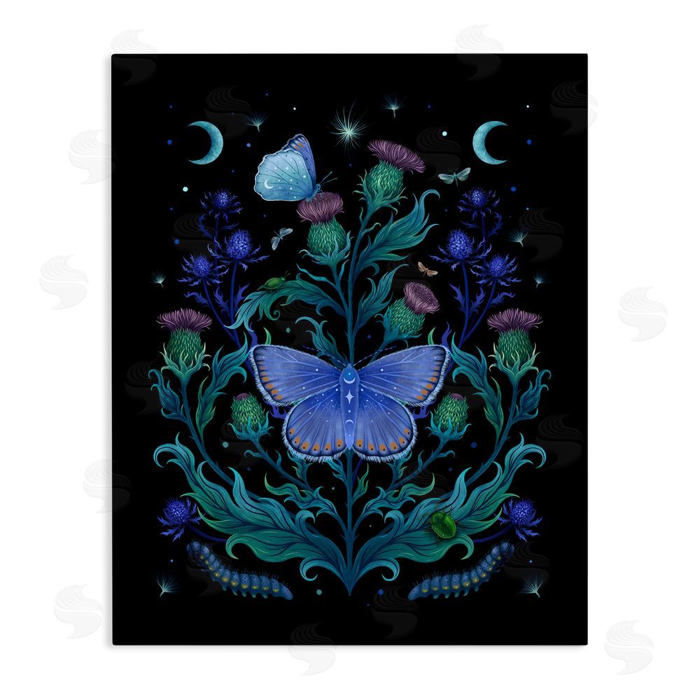 Episodic Drawings Thistles & Insects at Night Stretched Canvas Wall Art Print
