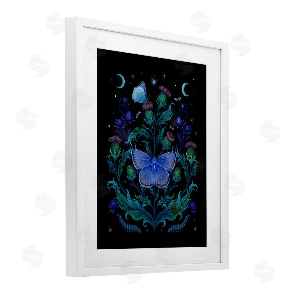 Episodic Drawings Thistles & Insects at Night White Framed Print Under Glass Wall Art