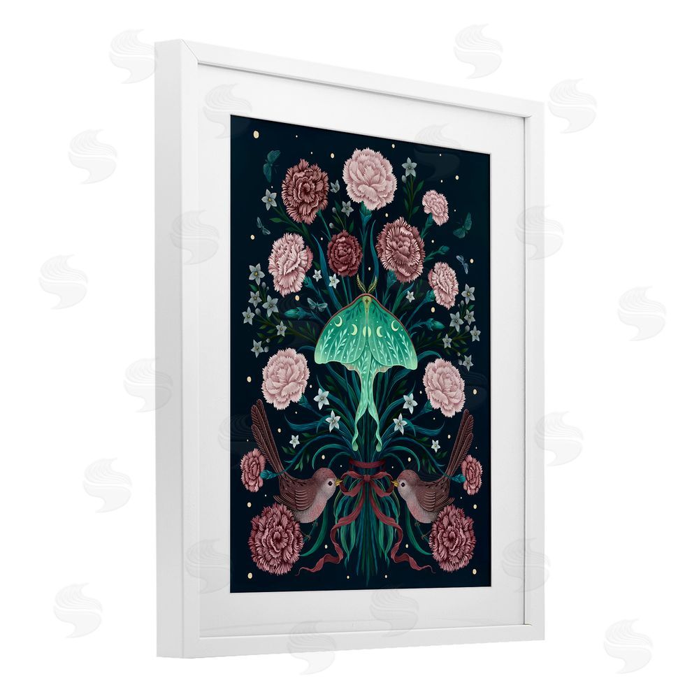 Episodic Drawings January Carnations & Moth White Framed Print Under Glass Wall Art