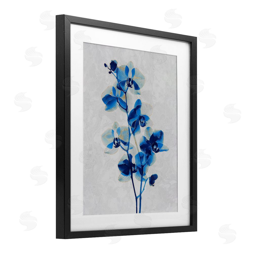 Ziwei Li Blue Orchid Silhouette Black Framed Print Under Glass Wall Art