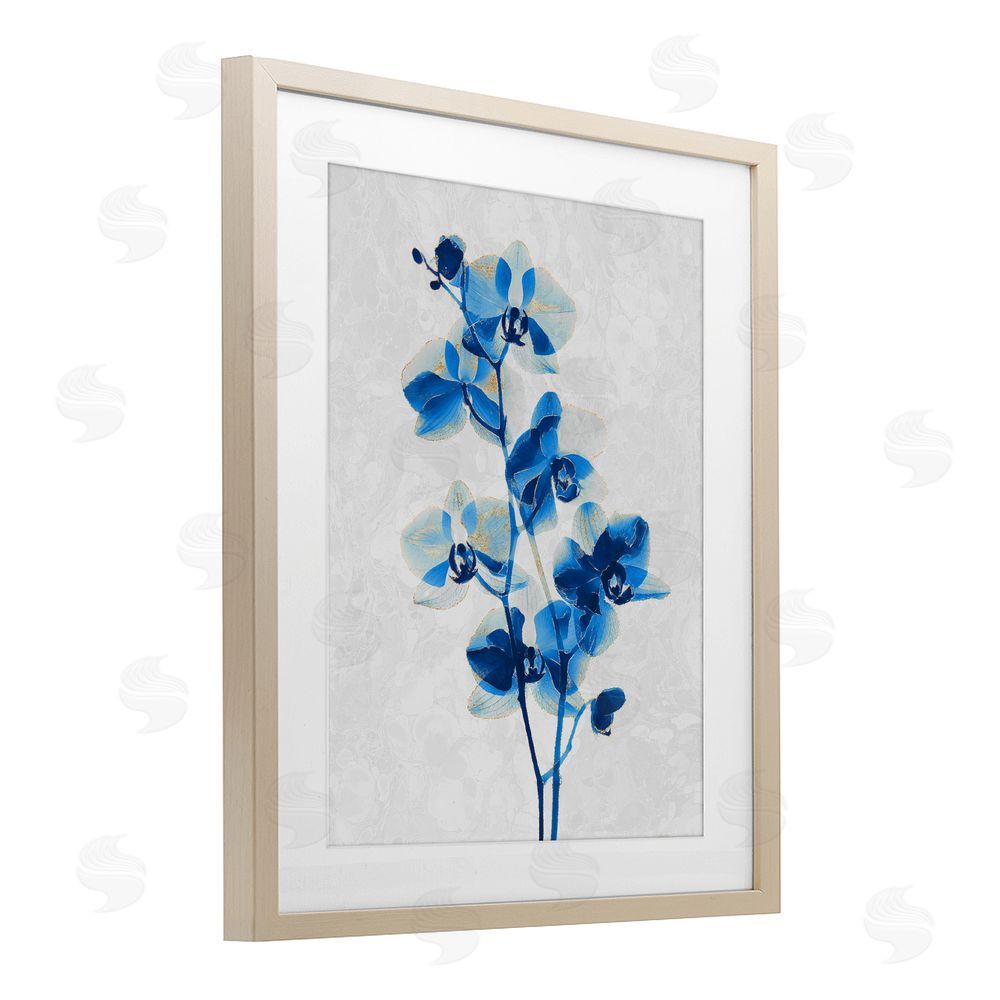 Ziwei Li Blue Orchid Silhouette Brown Framed Print Under Glass Wall Art