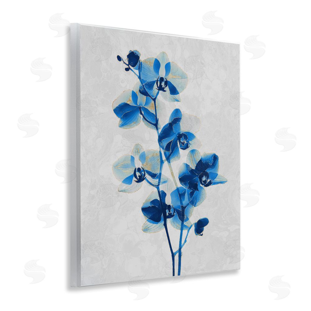 Ziwei Li Blue Orchid Silhouette Wooden Wall Plaque Art Print