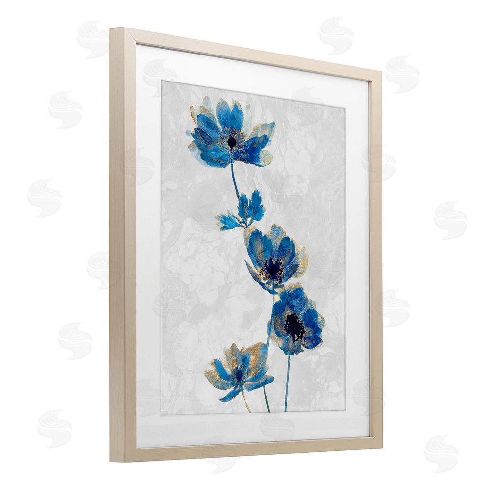 Ziwei Li Gilded Blue Anemone Blooms Brown Framed Print Under Glass Wall Art