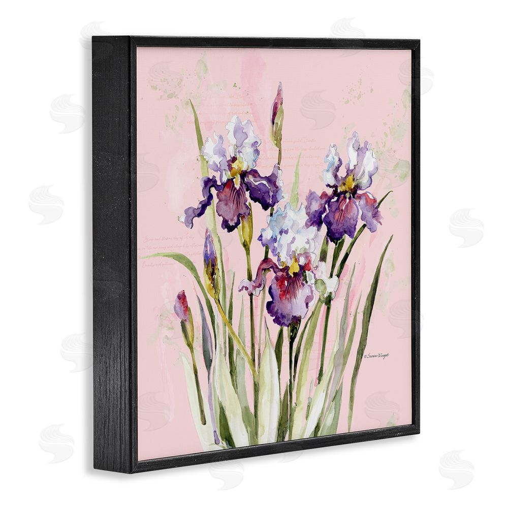 Susan Winget Purple Irises on Pink Black Framed Giclee Wall Art Print