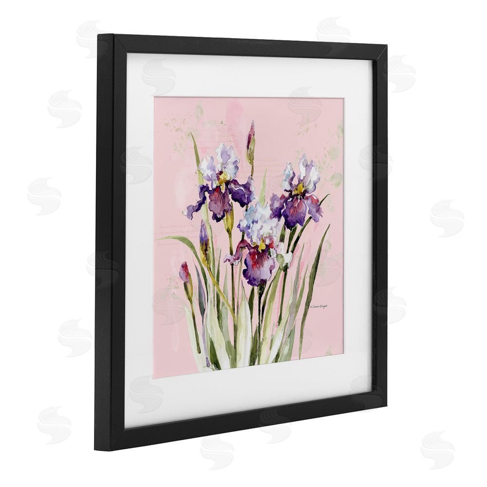 Susan Winget Purple Irises on Pink Black Framed Print Under Glass Wall Art
