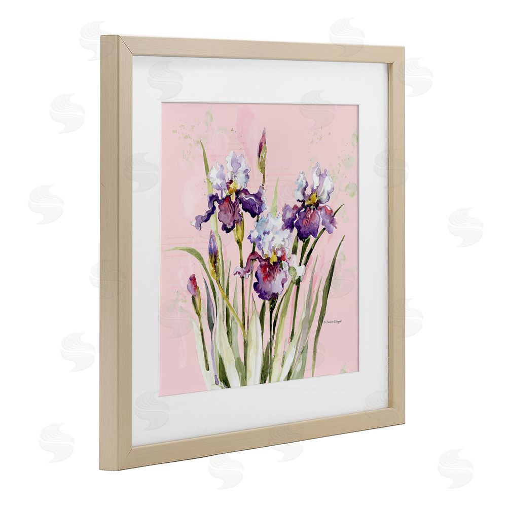 Susan Winget Purple Irises on Pink Brown Framed Print Under Glass Wall Art