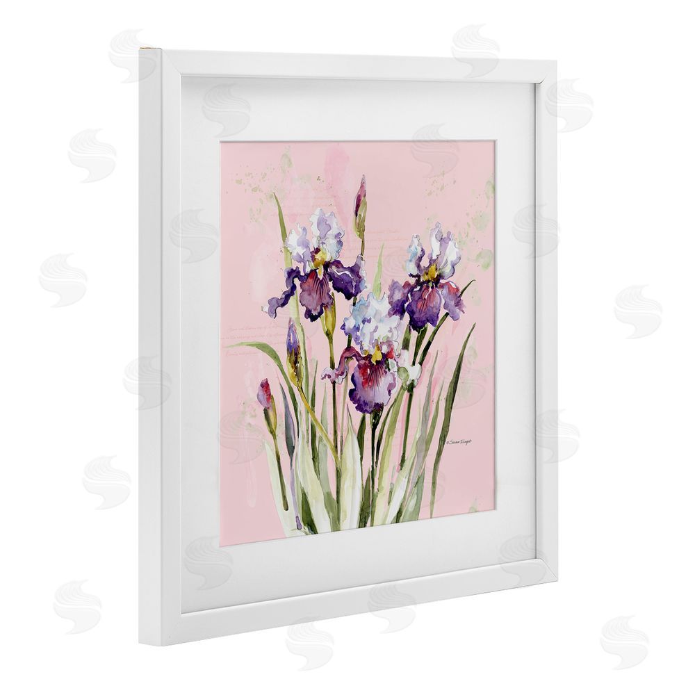 Susan Winget Purple Irises on Pink White Framed Print Under Glass Wall Art