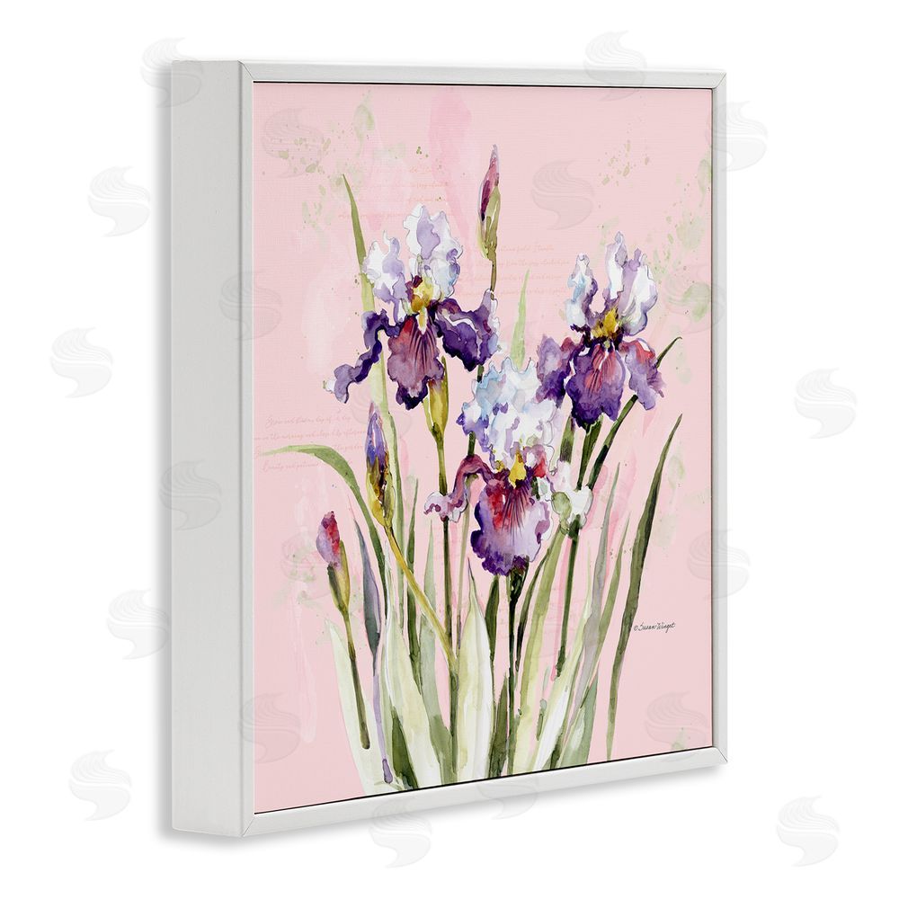 Susan Winget Purple Irises on Pink White Framed Giclee Wall Art Print