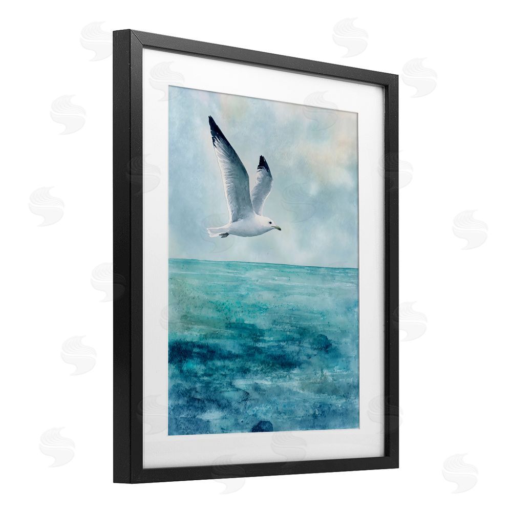 Franklyn Gregory Seagull With Black Tips Black Framed Print Under Glass with White Mat Wall Art