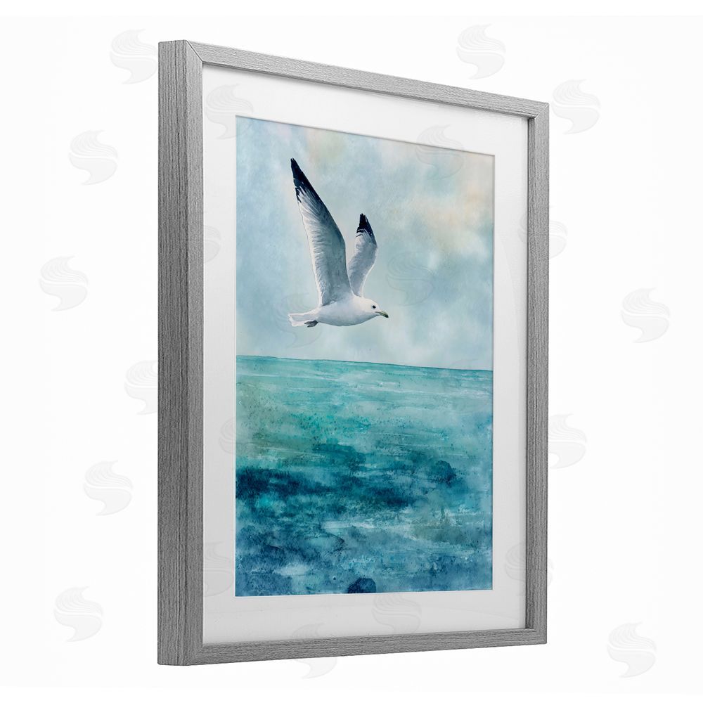 Franklyn Gregory Seagull With Black Tips Gray Framed Print Under Glass with White Mat Wall Art